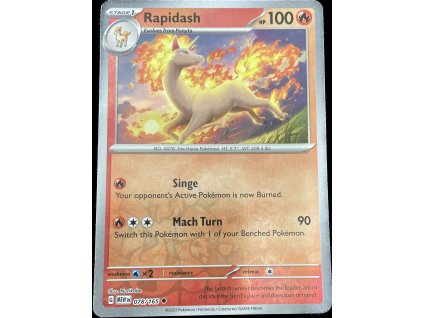 WhatsApp Image 2024 11 05 at 10.29.02 (1)