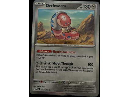 WhatsApp Image 2024 11 06 at 10.08.35