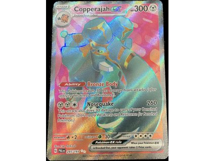 WhatsApp Image 2024 11 11 at 09.40.48