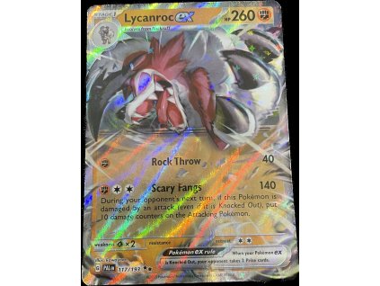 WhatsApp Image 2024 11 11 at 09.40.49