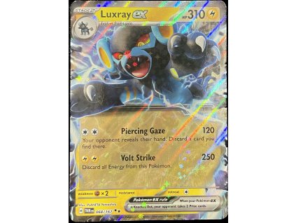 WhatsApp Image 2024 11 14 at 11.18.46