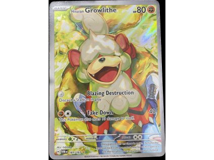 WhatsApp Image 2024 11 19 at 09.33.37