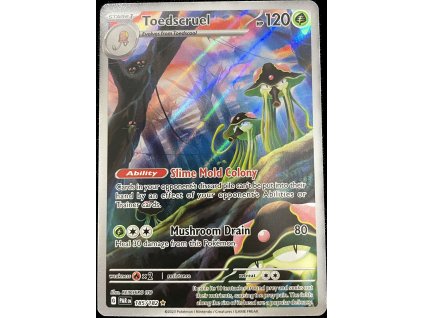 WhatsApp Image 2024 11 19 at 09.33.38