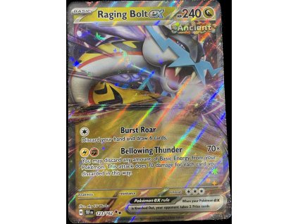 WhatsApp Image 2024 11 22 at 10.01.00