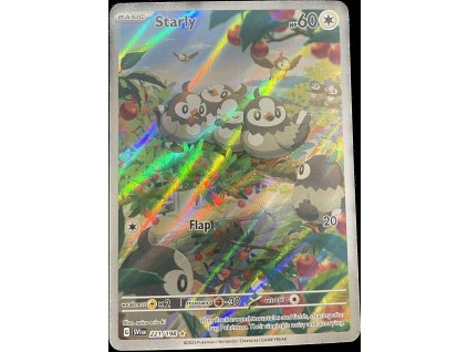 WhatsApp Image 2024 11 26 at 10.11.24