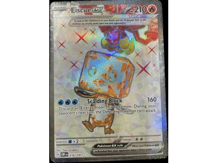 WhatsApp Image 2024 11 28 at 10.12.06 (1)