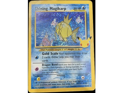 WhatsApp Image 2024 12 12 at 09.29.48