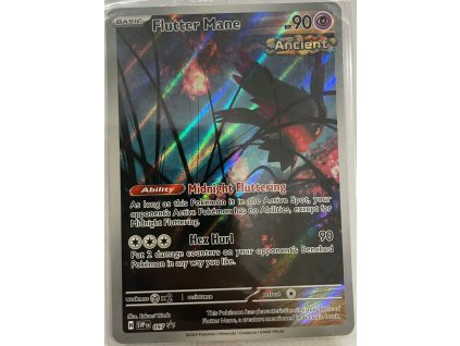 WhatsApp Image 2024 12 19 at 10.52.21