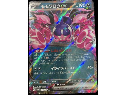 WhatsApp Image 2024 12 27 at 09.51.13 (1)