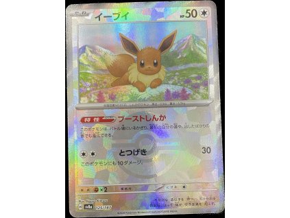 WhatsApp Image 2024 12 31 at 08.35.32 (3)