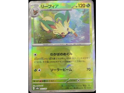 WhatsApp Image 2024 12 31 at 08.35.36