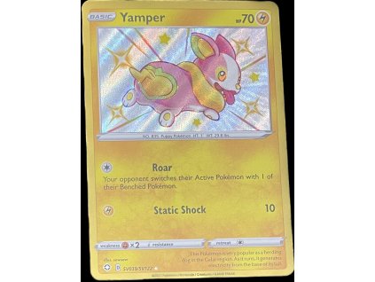 WhatsApp Image 2025 01 28 at 09.54.44 (4)