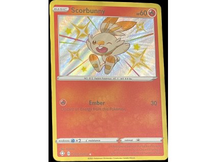 WhatsApp Image 2025 01 29 at 10.34.12 (2)