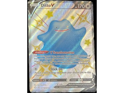 WhatsApp Image 2025 01 31 at 10.04.08