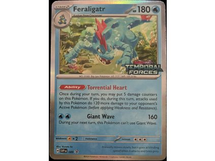 WhatsApp Image 2025 03 01 at 07.59.01 (2)