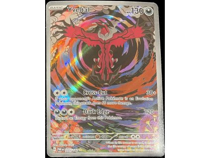 WhatsApp Image 2025 03 03 at 12.11.35