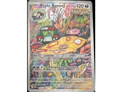 WhatsApp Image 2025 03 12 at 08.57.37