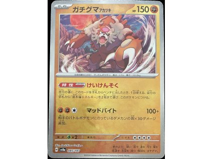 WhatsApp Image 2025 03 12 at 08.57.37 (2)