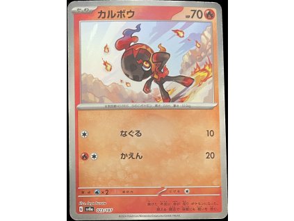 WhatsApp Image 2025 03 12 at 08.57.39 (4)