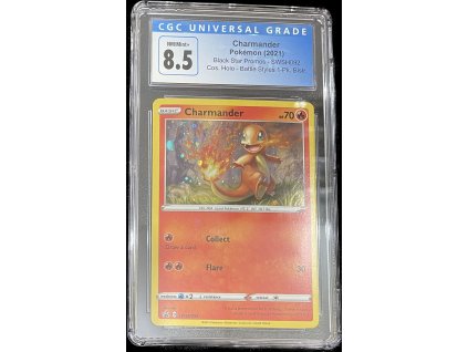 WhatsApp Image 2025 03 13 at 10.22.51 (3)