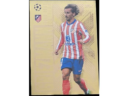 WhatsApp Image 2025 03 12 at 08.57.42 (5)