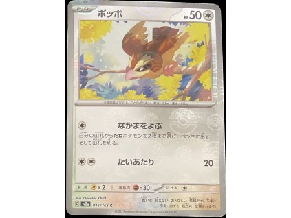 WhatsApp Image 2025 03 18 at 08.33.41 (5)