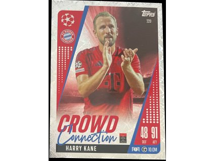 WhatsApp Image 2025 03 18 at 08.33.42 (2)