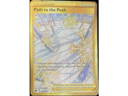 WhatsApp Image 2025 03 22 at 08.46.15