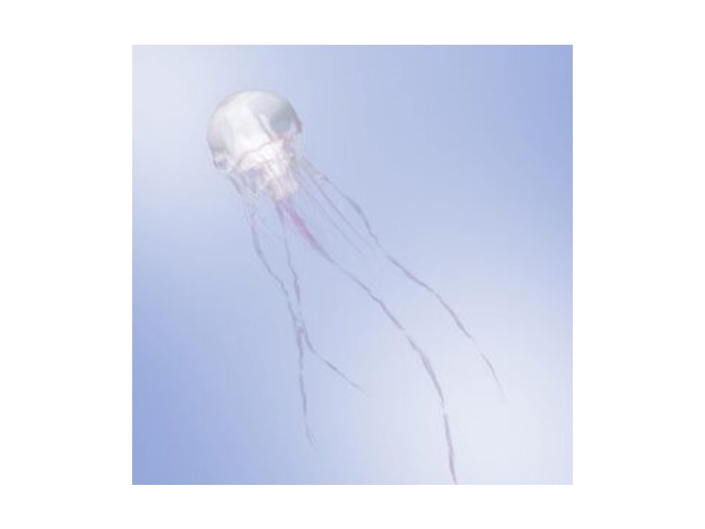 SCANDAL - Luminous (Limited Edition) (Type A) (CD)