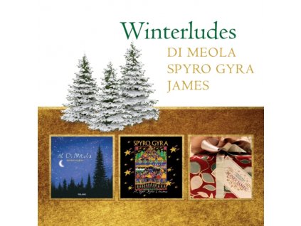 Boney James & Spyro Gyra Al Di Meola - Winterludes (Music CD)