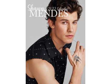 shawn mendes a3 kalendář 2022