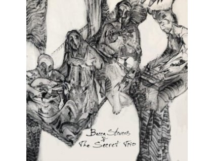 BECCA STEVENS - Becca Stevens & The Secret Trio (CD)