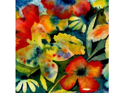 LENKER, ADRIANNE - SONGS AND INSTRUMENTALS (SINGER FROM BIG THIEF) (2 CD)