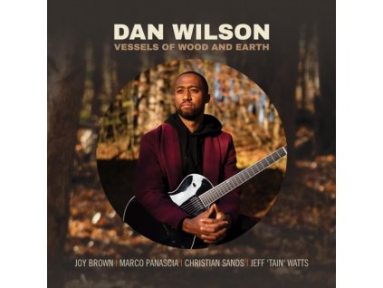 DAN WILSON - Vessels Of Wood And Earth (CD)