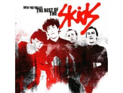 SKIDS - Into The Valley - The Best Of (CD)