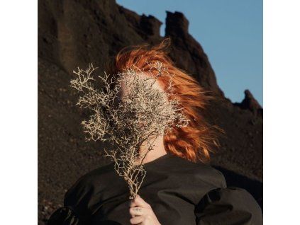 2513733 1 goldfrapp silver eye cd