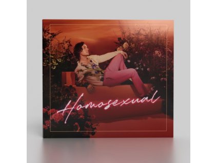 DARREN HAYES - Homosexual (CD)