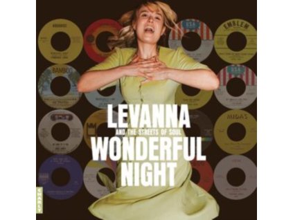 VARIOUS ARTISTS - Wonderful Night Curated By Levanna (CD)