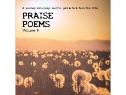 VARIOUS ARTISTS - Praise Poems. Vol. 8 (CD)