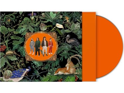 DON BROCO - Amazing Things (Orange In Slipcase) (CD)