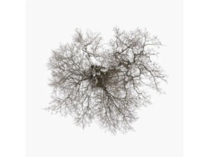 JOHN METCALFE - Tree (CD)