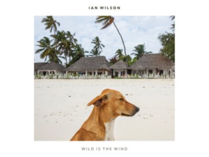 IAN WILSON - Wild Is The Wind (CD)