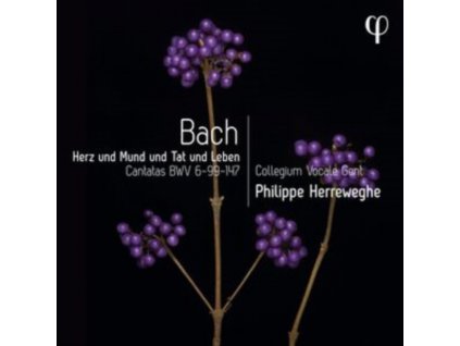 COLLEGIUM VOCALE GENT / PHILIPPE HERREWEGHE - Herz Und Mund Und Tat Und Leben - Bach: Cantatas Bwv 6-99-147 (CD)