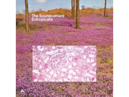 SOUNDCARRIERS - Entropicalia (CD)