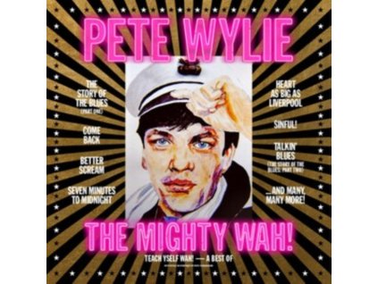 PETE WYLIE & THE MIGHTY WAH! - Teach Yself Wah! - A Best Of Pete Wylie & The Mighty Wah! (CD)