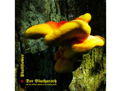 DER BLUTHARSCH / SKULLFLOWER - Angel Of Darkness (CD)