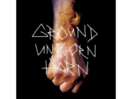 GROUND UNICORN HORN - Damn I Wish I Was Fat (CD)