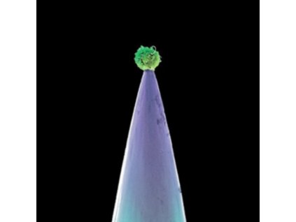 Peter Gabriel - New Blood (Music CD)