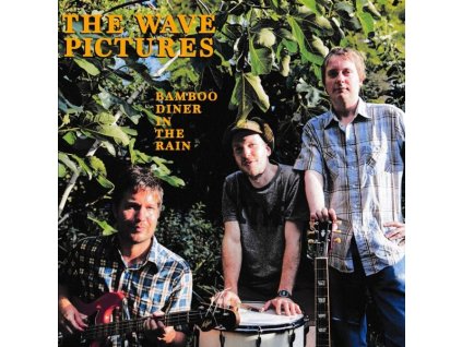 The Wave Pictures - Bamboo Diner In The Rain (CD)