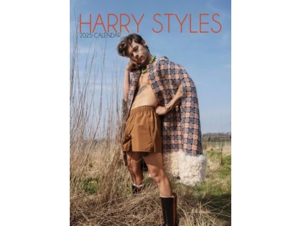 harry styles a3 kalendář 2025